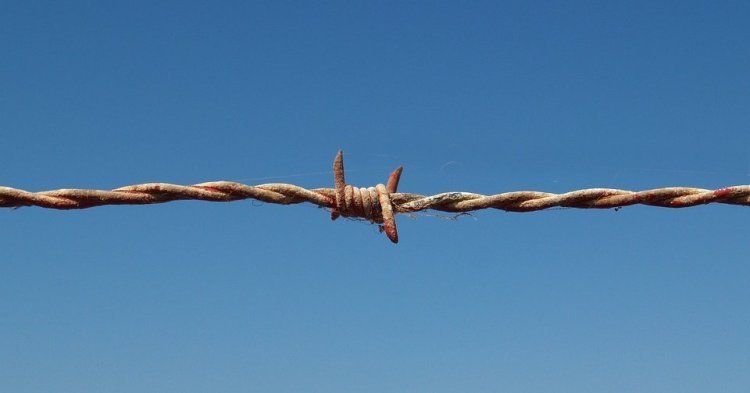 La disparità di trattamento tra rifugiati ucraini e siriani: storia di due migrazioni secondo l'Unione europea