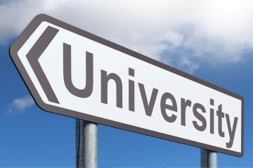 Una giungla di carta: competitività e università