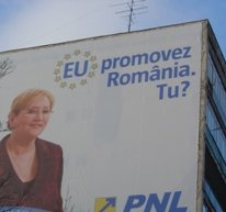 European Elections in Romania : Another Fight for Power