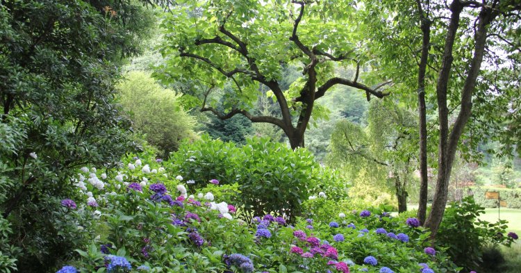 ,,Europa als Garten”: Von Unwissen, Unverständnis und neuen Perspektiven