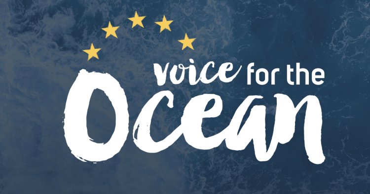 Européennes 2019 : Faire entendre la voix de l'Océan jusque dans les institutions européennes