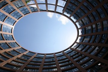 Föderalistische Extremisten oder eher demokratische Revolutionäre?