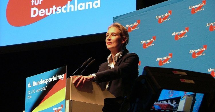Pourquoi l'entrée de l'AfD au Bundestag était inévitable