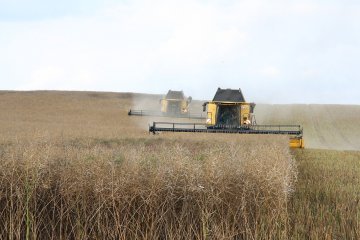 Concilier transition écologique et compétitivité du secteur agricole européen