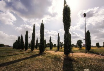 Intervista a Urio Cini