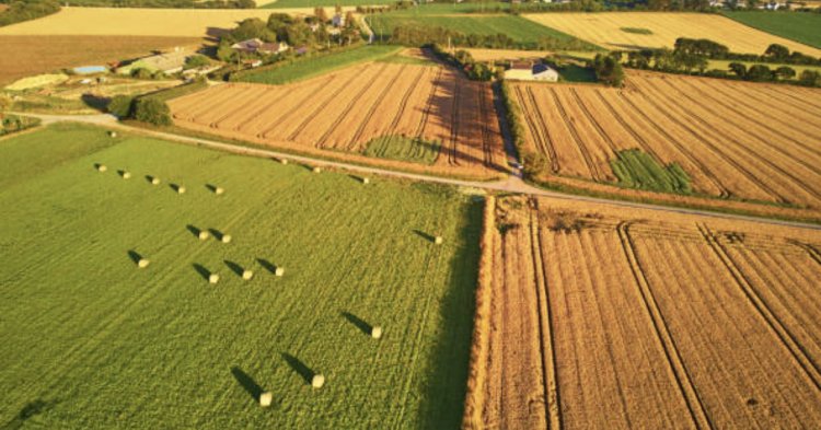Colère agricole : dans le sillon du Pacte vert européen