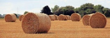 La PAC e l'ambiente : nemici giurati ?