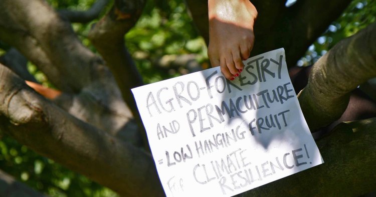 Für eine nachhaltige Landwirtschaft