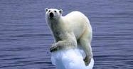 A step-wise approach to tackle climate change will simply not suffice