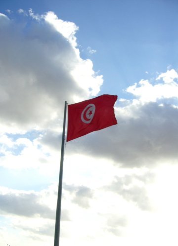 Liberty-Work-Dignity: Tunisia : The People's Revolution