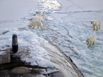 The Arctic : what are the EU's interests in this rapidly changing region ?