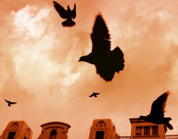 European Federalism as a Neo - libertarian tendency