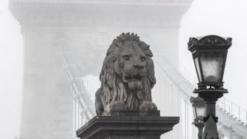 L'État de droit et la démocratie en péril au cœur même de l'Union européenne