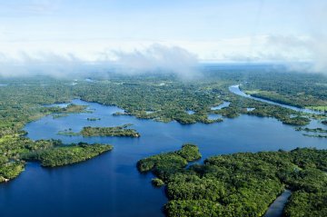 The case for a ‘responsibility to protect nature'
