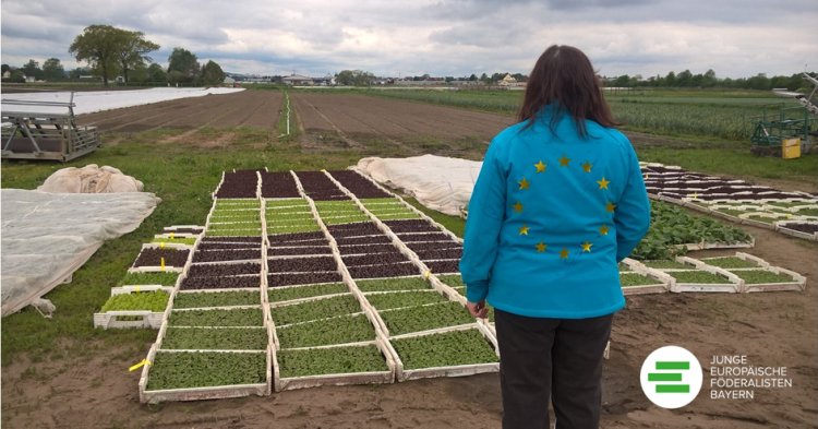 Gedankenfutter: Für eine Reform der Gemeinsamen Europäischen Agrarpolitik