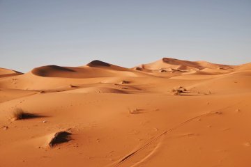 Wenn die Wüste brennt