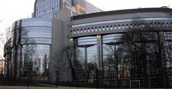 For one seat of the European Parliament - Brussels