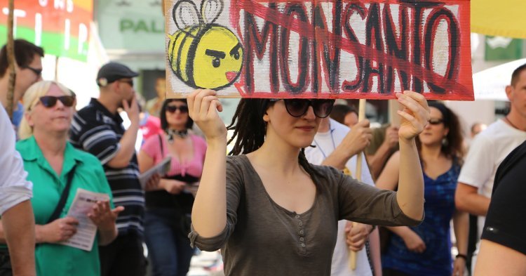 Fusion Bayer – Monsanto: sollte die EU eingreifen?