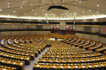 Fraktionen im Europaparlament: Das Herzstück der europäischen Demokratie