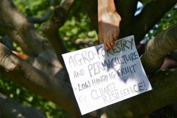 Glyphosate : et si l'alternative à l'agriculture chimique venait d'une refonte de la PAC ?
