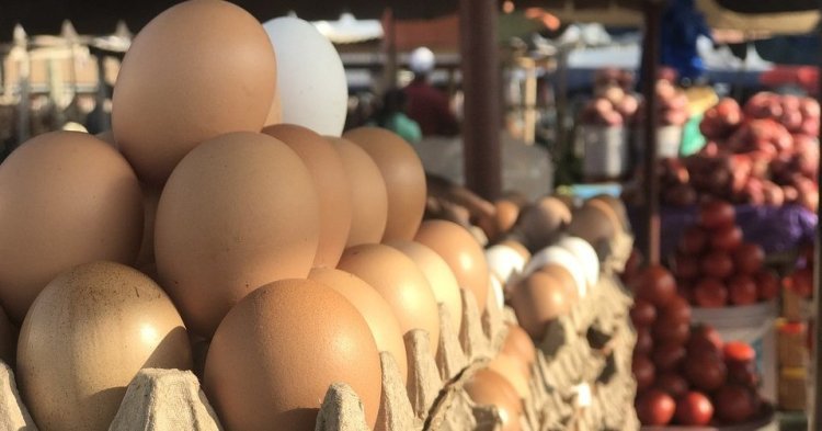 Wo europäische Subventionen afrikanischen Landwirt*innen schaden