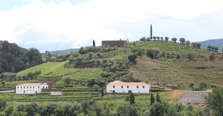 Carte postale : Peso da Regua