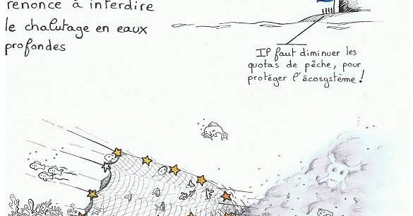 Le Parlement Européen refuse d'interdire le chalutage en eaux profondes