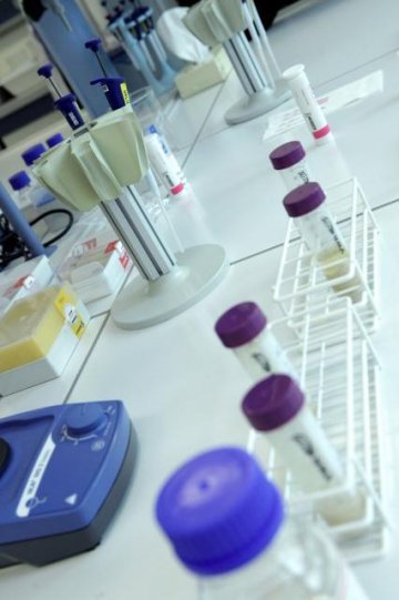 Do we need a European Innovation Union?