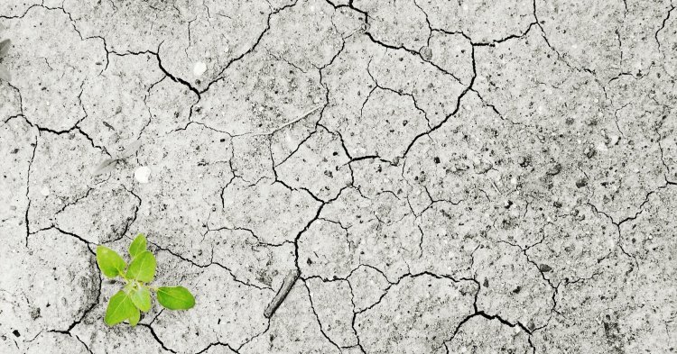 Changement climatique : « il nous reste peu de temps » prévient la Commission européenne