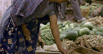 16 October — World Food Day — The Three Fs