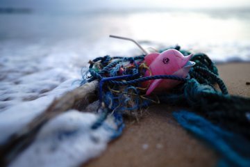 Inquinamento nel mar Mediterraneo