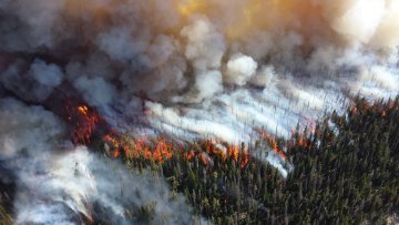 COP25: How Did We Learn to Love the Status Quo?