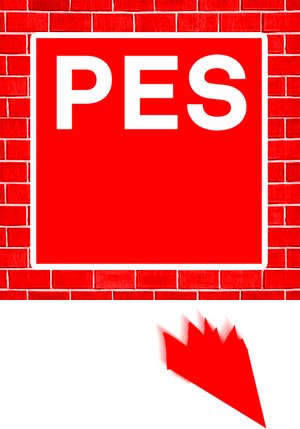 Who is the PES candidate?