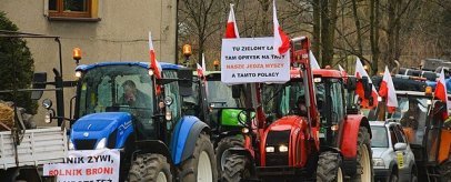 The Farmers' Protests in Europe and the EU's Climate Ambitions: An Insurmountable Contradiction?