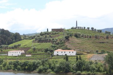 Carte postale : Peso da Regua